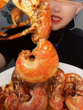 #虾怪 #寄居蟹 #虾怪寄居蟹