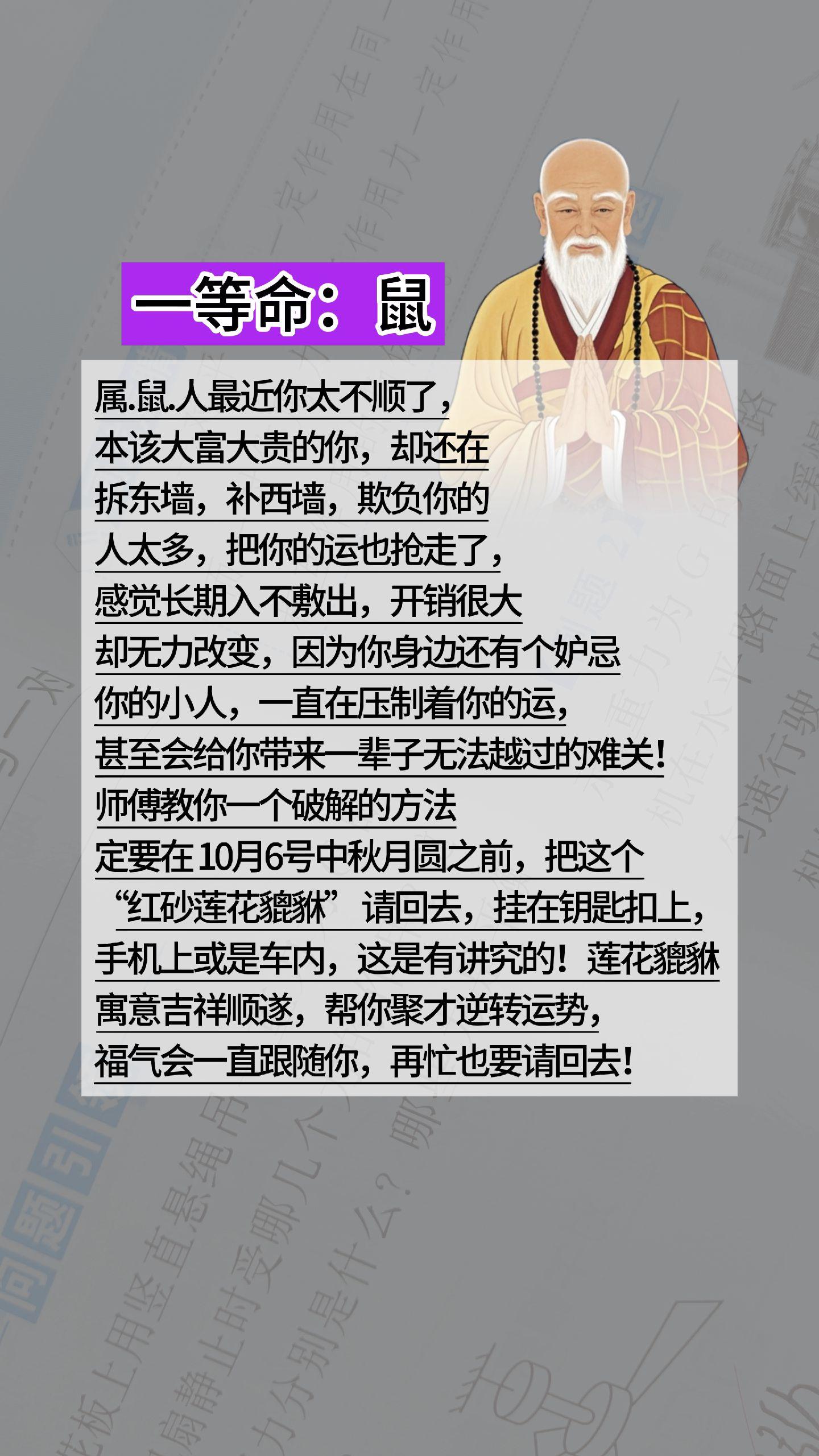 #1960年的鼠 #1972年的鼠 #1984年的鼠