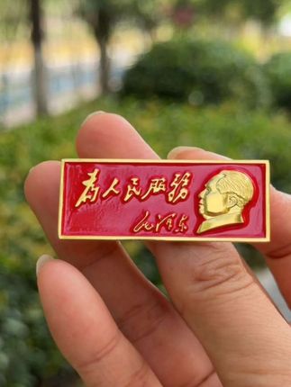 #长方形像章 #像章收藏 #红色收藏