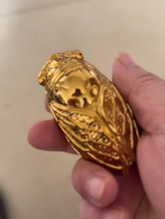 网红创意金蝉防风#打火机 #玩个很新的东西 #新奇特创意 #情侣礼物