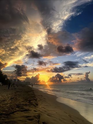 治愈人心又充满想象力的童诗,让孩子每天读一读,随便一句写近作文里都是锦上添花#作文素材#作文#好书分享#写作技巧