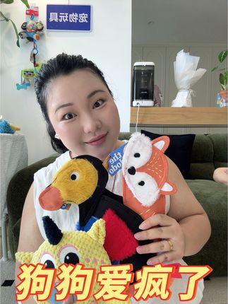 爱掏棉花的狗子要嗨翻了!!牛津布巨耐撕咬!! #狗狗#狗狗的心思都写在脸上了 #萌宠 #柯基 #金毛