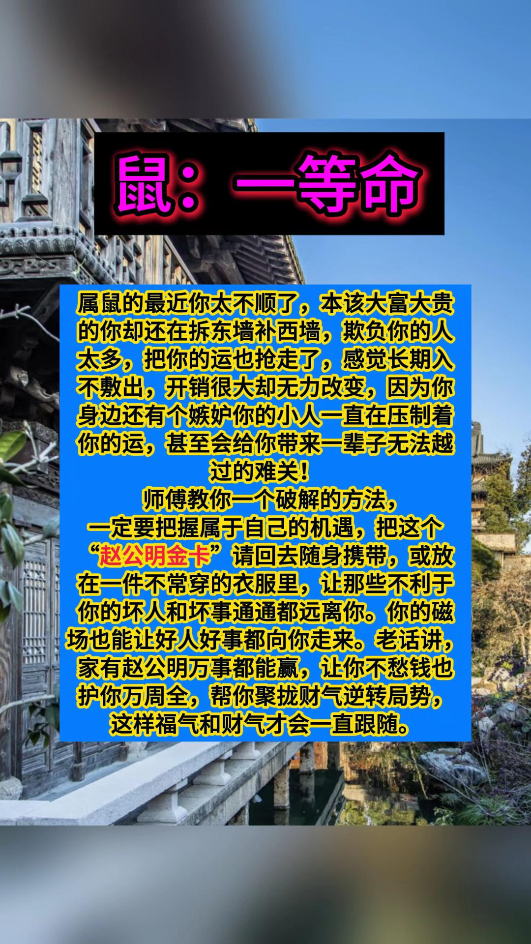#鼠 #生肖鼠