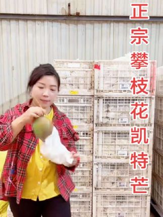 我也开始带货了,跟你们看样好东西,正宗攀枝花凯特芒,口感一定是纯甜无酸软糯香甜的,巴适得很。#优质农产品 #新农人计划 #源头好货 #原产地 #抖音助农扶农 @抖音小助手 @抖音创作小助手