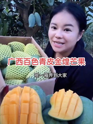 #应季水果 都是产地现摘现发,果肉细腻,香甜软糯,汁水特别丰富。芒果的营养价值非常高,收到货放上几天再吃,口感会更好#金煌芒果 #口感非常好 #水果 #信宜小乐乐