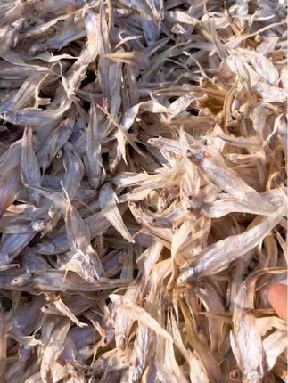 寿县瓦埠湖野生毛鱼干无盐自然晒干 #毛刀鱼 #无盐 #野生鱼 #下酒菜 #瓦埠湖