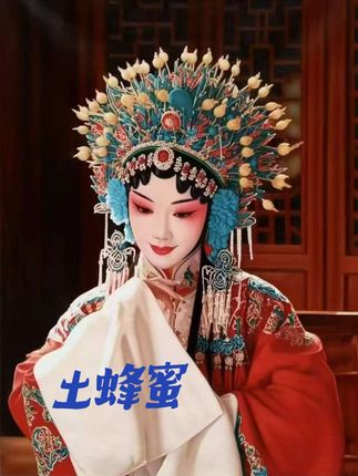 #土蜂蜜 #蜂蜜 #养蜂技术 #蜜蜂养殖 #农家土蜂蜜