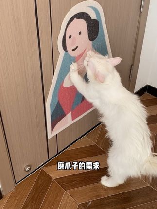 耐磨耐抓还不会掉屑的猫抓板#新手养猫#萌宠好物#猫抓板#猫抓板推荐#猫管家宠物用品