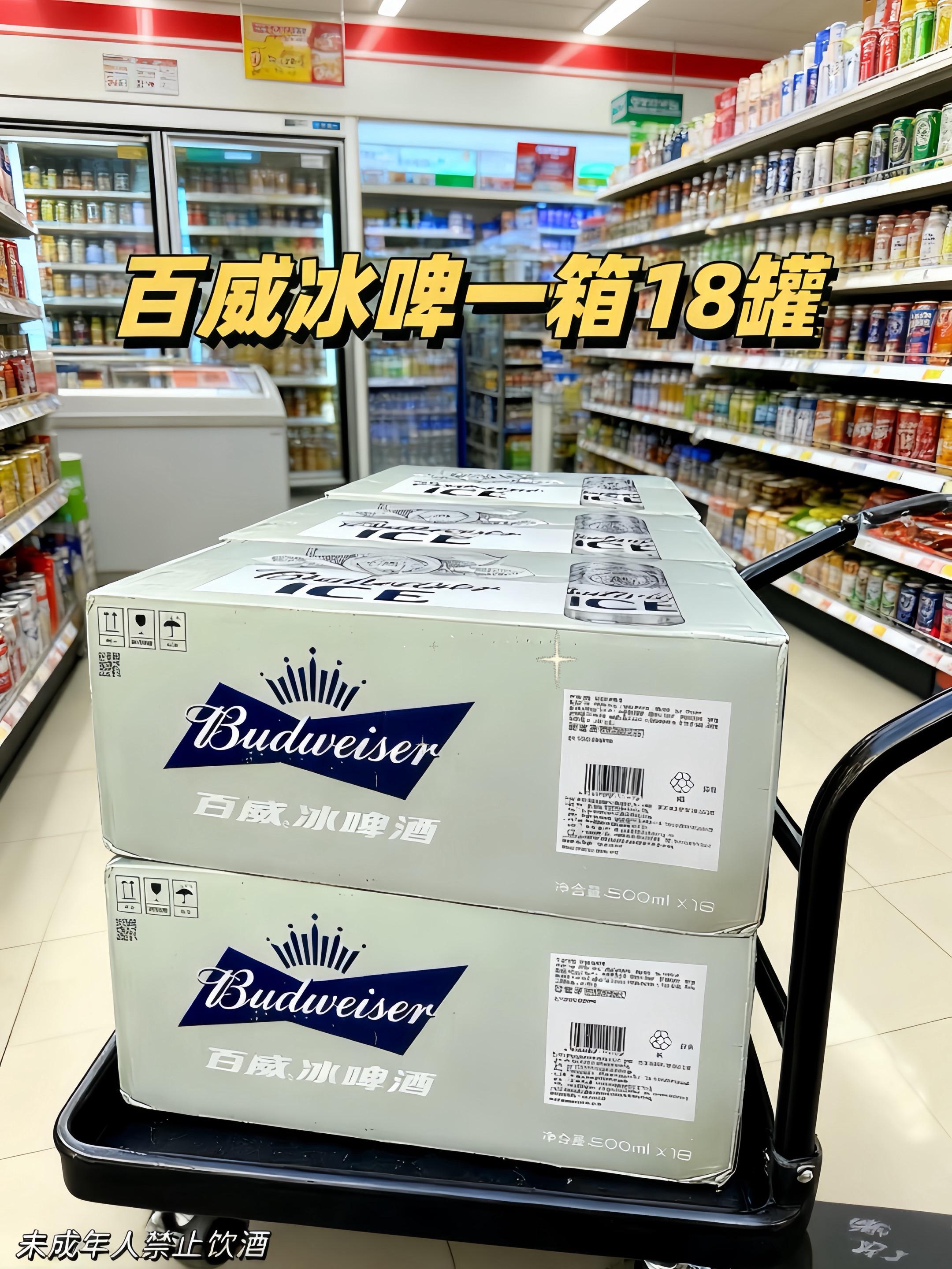 百威冰啤#百威啤酒#百威#啤酒推荐#好喝不贵#聚餐必备