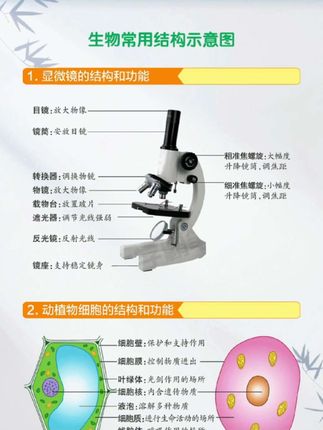 生物地理拿高分的核心基础就是会看图,能识图,掌握这个技能,学习就太轻松了!#初中生物 #初中地理 #知识点总结 #高效学习 #生地会考