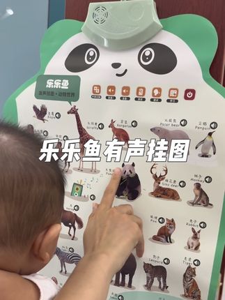宝宝爱听爱看 早教启蒙就选它 比玩手机可好太多了#乐乐鱼有声挂图 #早教益智玩具 #早教玩具