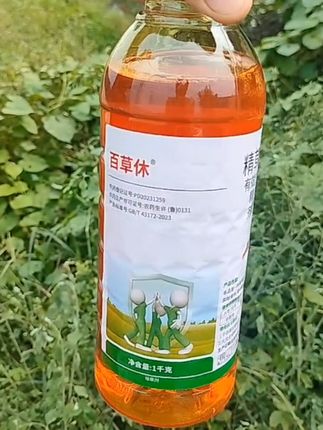10%精草铵膦铵盐