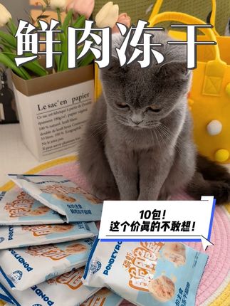 养猫人集合!全价主食鲜肉冻干亏本冲量!10包共100g,价格低到尖叫! 消化率≥97.8%,营养好吸收,小猫吃了嘎嘎长肉发腮。 添加磷虾油+乳铁蛋白,健康翻倍。颗颗裹金黄磷虾碎,适口性爆表! 第一波亏本,趁没涨价,赶紧换号囤!#养猫必备 #冻干猫粮 #猫咪发腮 #宠物好物分享 #囤货清单