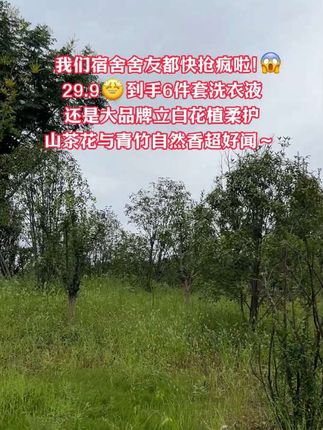 快快快!我们宿舍舍友都快抢疯啦!29.9 到手6件套洗衣液!还是大品牌立白花植柔护,山茶花与青竹自然香超好闻~ #母婴好物 #香氛洗衣液#洗衣液 #立白大师香氛洗衣液 #生活用品