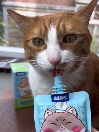 温和排毛化毛生鲜包,可以当主食喂的排毛包。#倔强嘴巴 #猫排毛 #猫湿粮  #养猫新手 #化毛只选主食化毛