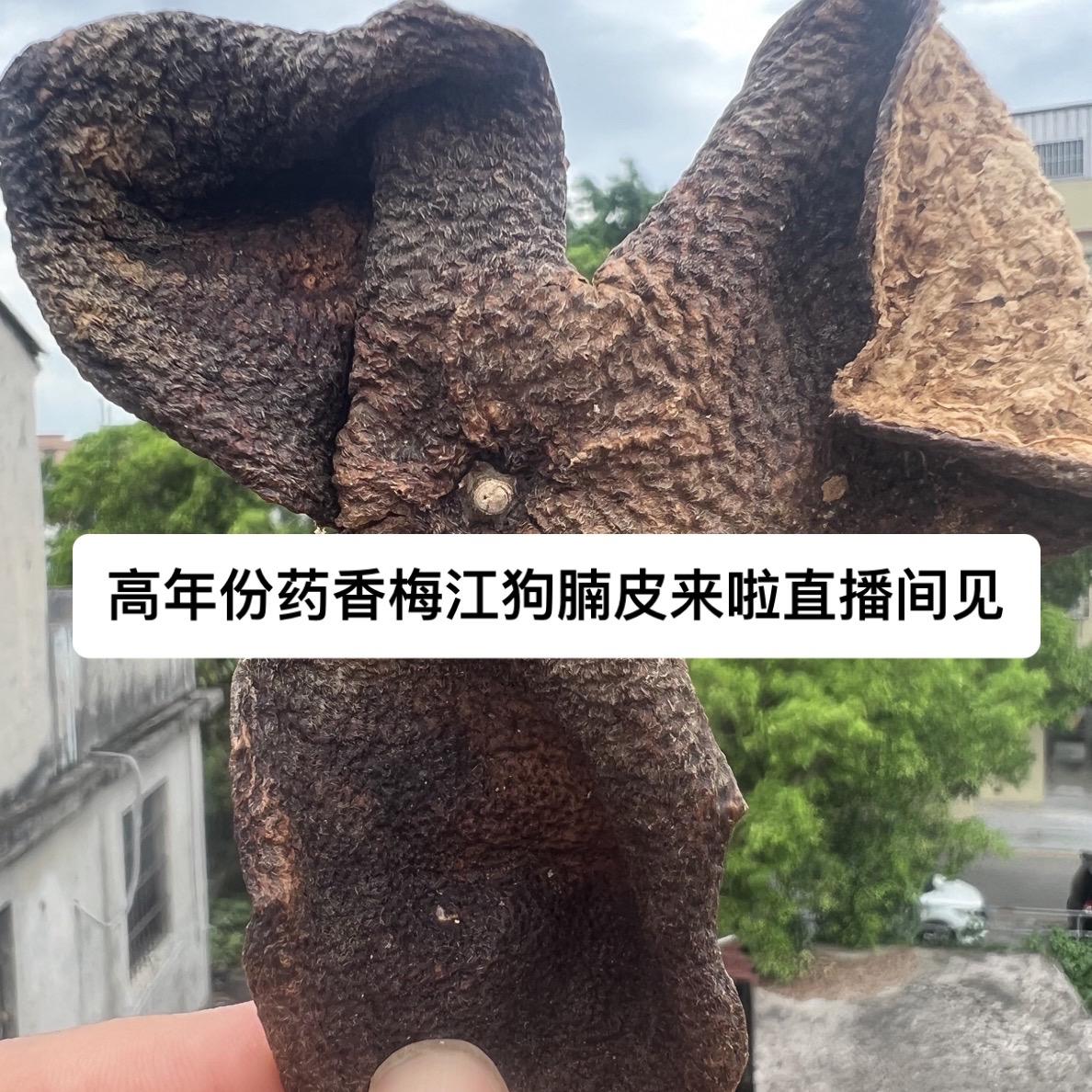 2017高年份高药香梅江狗腩皮来啦福利价#强烈推荐