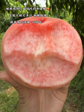 姐妹们!人生水蜜桃啊🍑桃香味超浓,脆嫩香甜,一口爆汁!!真的巨巨巨好吃!#桃子熟了 #又脆又甜 #新鲜应季水果#水蜜桃