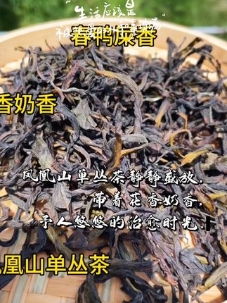 花香奶香春季鸭屎香。香甜爽口夏日解暑必备#今天你喝茶了吗 #强烈推荐