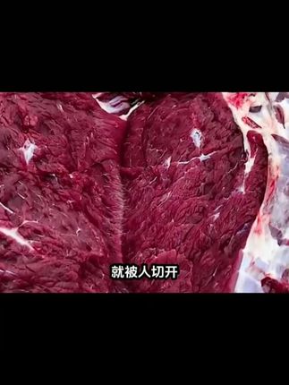 你见过会动的牛肉吗?#白俄罗斯#原装进口#牛肉罐头#谁懂这一口好吃的程度#无限回购的宝藏单品