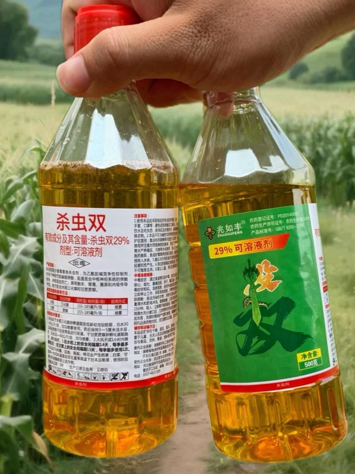 水稻虫害终结者,虫害保卫战 卷叶螟稻飞虱 钻心虫二化螟 三化螟等都可以使用它来防治,叶片零虫洞秘诀#节水旱稻 #水稻虫害防治 #水稻 #水稻种植 #病虫害防治