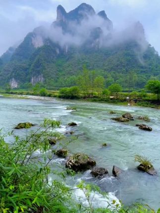 视频同款