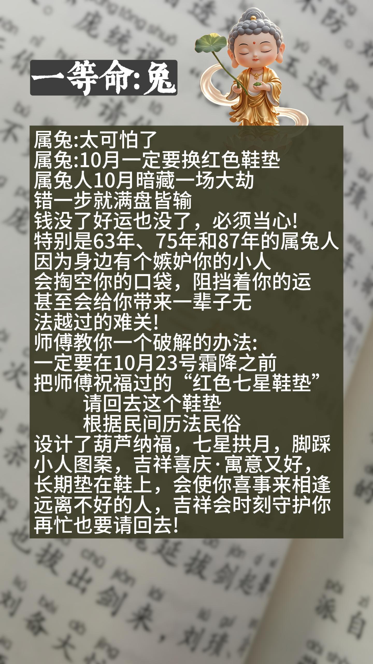 #兔 #属兔人 #75年的兔