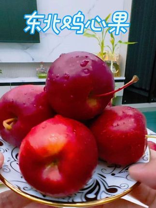 #东北鸡心果#现摘现发#果汁丰盈#果香脆甜#今日分享