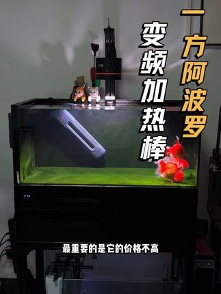 换季了,记得安排一个加热棒哦,在鱼生病时,可通过升温辅助治疗,稳定水温#强烈推荐 #一方阿波罗加热棒 #科技改变生活 #变频加热棒