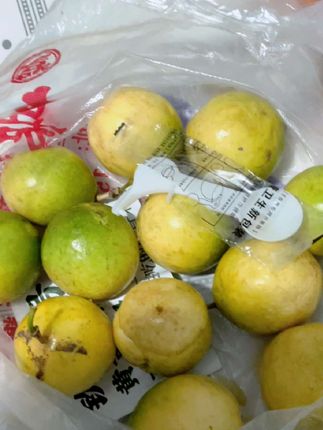 “钦蜜9号百香果新鲜饱满,香甜多汁,正所谓‘橘生淮南则为橘,生于淮北则为枳’,这当季水果果然名不虚传!🍊✨ #百香果 #新鲜水果”