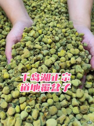 #覆盆子#覆盆子是个好东西 #覆盆子沙苑子山茱萸桑葚茶 #