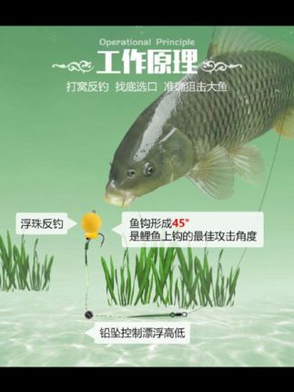 队长手竿反底钓反吹钓组全能王线组躺底平衡弹出反底钓组珠珠钓鱼#钓鱼 #反底钓 #反底钓组 #钓鱼人 #钓鱼的乐趣只有钓鱼人懂