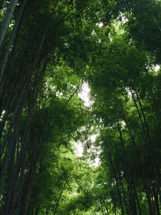 贝壳夹,祝您一辈子有钱花,日日生辉,岁岁生花。 #仪式感不能少 #有钱花 #礼物推荐 #好物分享🔥