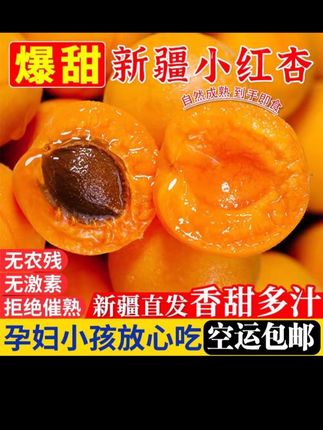 新疆小红杏,口感醇厚,口感清甜,回味悠长,你值得拥有!#新鲜采摘 #口感特别好 #快来一起尝个鲜 #农产品 #时令水果
