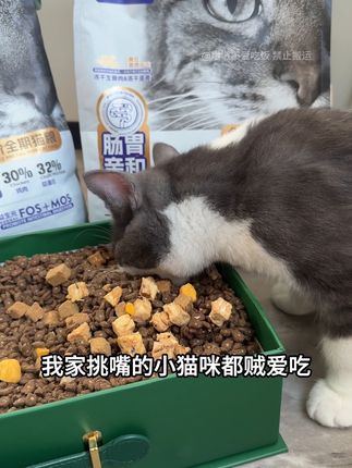 快快猫粮买一包送一包了!两包到手足足7.2斤,库存不多,看到还有的宝子赶紧薅!#猫粮推荐 #猫粮测评 #萌宠好物 #新手养猫 #猫粮