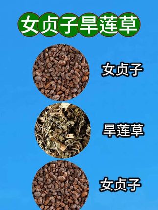 手工挑选女贞子旱莲草墨旱莲泡水泡茶干净方便罐装可搭枸杞#组合搭配 #女贞子墨旱莲 #代饮茶