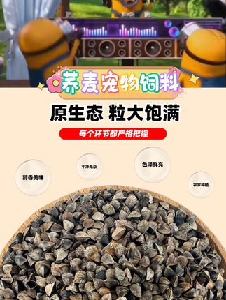 带壳荞麦保留谷物原香与营养,鹦鹉啃咬能磨喙解闷,仓鼠觅食更添乐趣~丰富宠物饮食结构,给毛孩子补充能量,喂食省心又安心~ #鹦鹉饲料 #仓鼠主粮 #宠物喂养好物