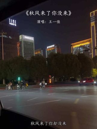 #秋风来了你没来“要学会适应所有的温度,无论是更替的季节,还是渐变的人心,不管任何关系,只要别人不再考虑你的感受,就该及时止损了,心很贵,一定要装最美的东西,情绪很贵,一定要接触让你愉快的人!”