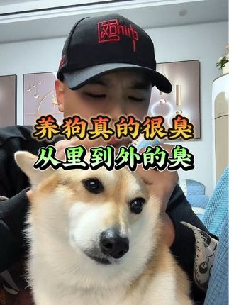 养狗太臭了,从里到外的臭 #养狗人 #养狗经验分享 #宠物知识 #新手养宠 #毛孩子
