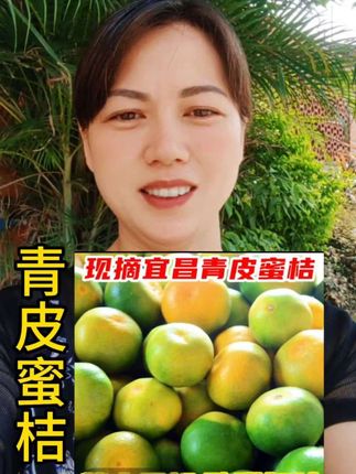 青皮桔子#桔子#应季水果