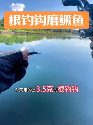 #根钓钩 其实根钓钩加泡泡虫还是很好用的!#针尾泡泡虫 #路亚鳜鱼 #种草激励计划 #慕斯达根钓钩