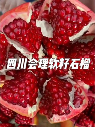 云南会理头茬软籽石榴成熟了,粒粒饱满,汁水充足,吃起来特别过瘾。#软籽石榴 #会理软籽石榴 #粒粒饱满大颗粒 #新鲜采摘