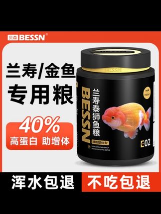 兰寿泰狮金鱼专用鱼粮 刷到就是缘分#兰寿#泰狮#鱼粮#萌宠出道计划