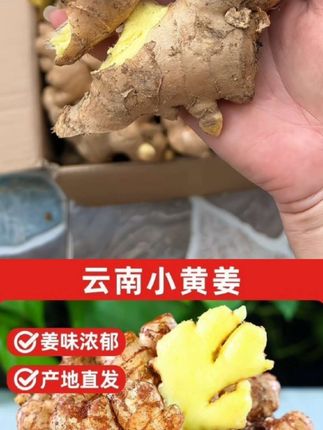 #云南小黄姜