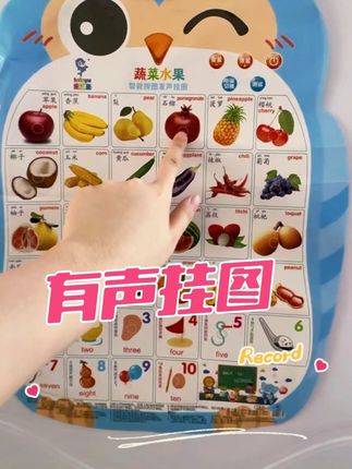 用有声挂图开始宝宝语言开关#专注力培养 #育儿早教 #有声挂图 #中英双语有声挂图 #语言启蒙