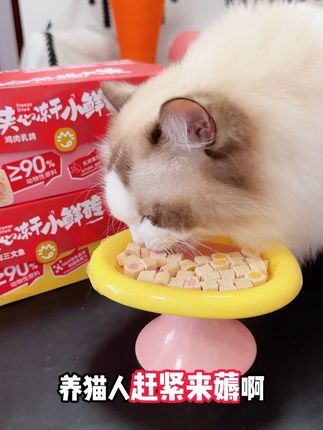 养猫人赶紧来薅啊!喵知味家新出的双色夹心冻干来咯!快让你家猫咪也来试试呀~#喵知味 #猫咪主食冻干#主食冻干推荐#猫咪冻干#抖in萌宠计划