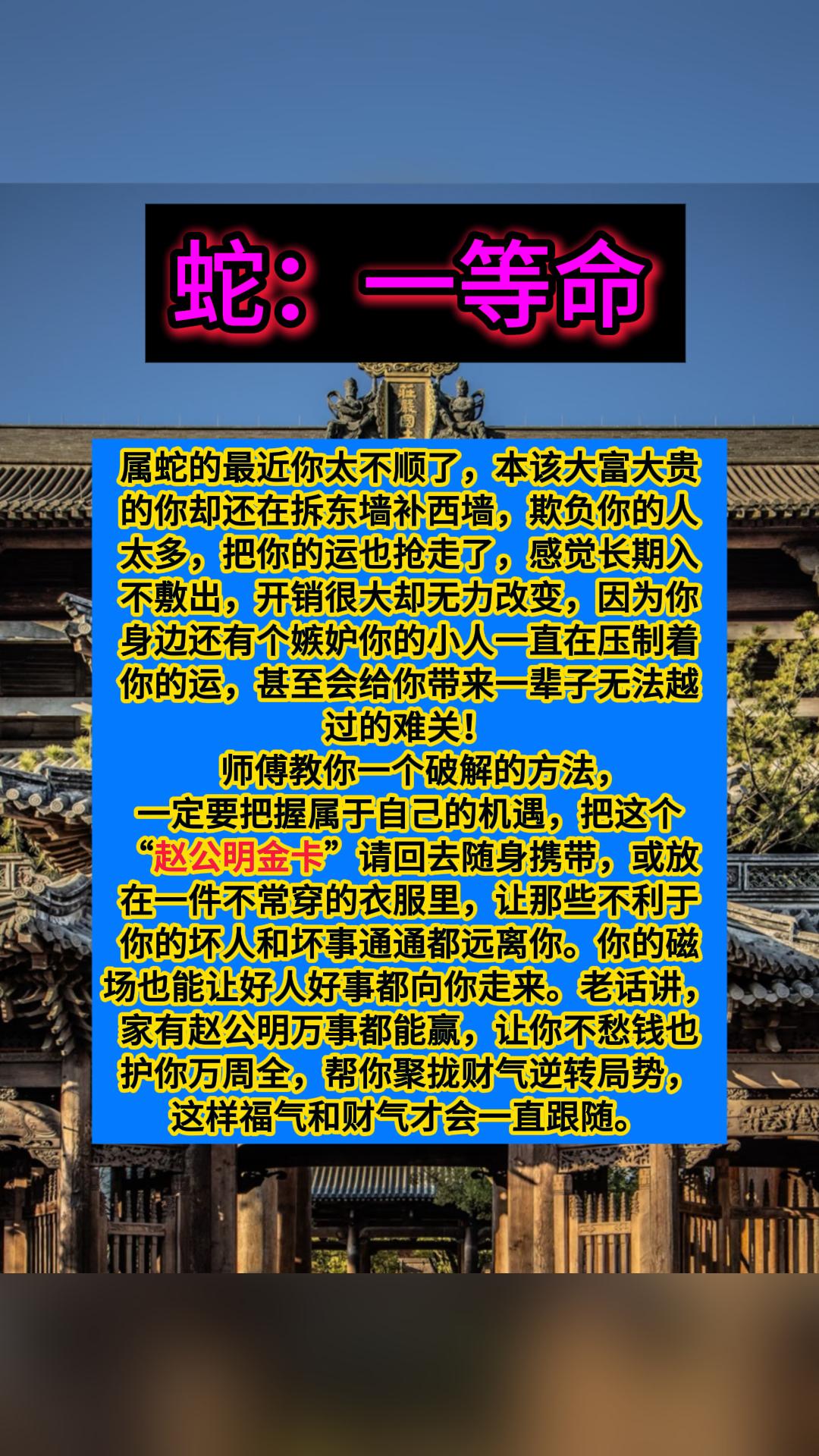 #蛇 #生肖蛇#属蛇
