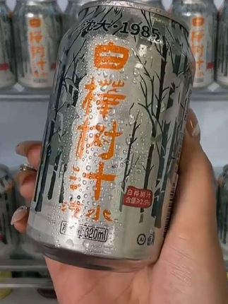 白桦树汁味汽水到手6罐这个价钱 #白桦树汁味汽水 #真的划算 #夏日汽水派对 #夏日饮料推荐 #夏日新品上新