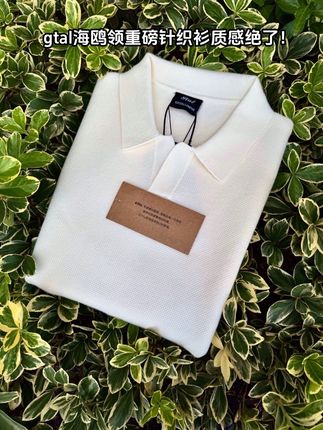 GTAL!高级感海鸥领polo针织衫不愧是秋季宝藏单品!#早秋穿搭 #polo衫 #男生穿搭 #高级感穿搭 #GTAL