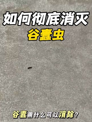 谷蠹虫怎么消灭 谷蠧用什么可以消除?你所看见的真的是谷蠧吗?虫子普遍很小,成虫细长筒形,基本上就1~2毫米之间,谷蠧的滋生来源于我们的储物粮食、干货内部繁殖,很多家里粮食出现这种虫子会忽视掉,其实它的危害对人的身体健康带来损坏,由于谷蠧长期的在干货粮食中导致食物,内部霉变不可食用,解决的办法也很简单,源头所滋生的谷蠧虫就直接丢弃干货,避免家里的二次繁殖滋生#谷蠹虫 #谷蠹 #谷盗虫怎么彻底消灭 #谷盗虫怎么彻底消灭 #谷盗虫咬人吗