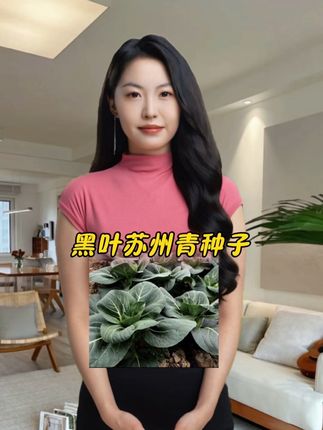 #苏州青种子#蔬菜种子#在抖音入手的好东西 #种植小技巧 #上海青